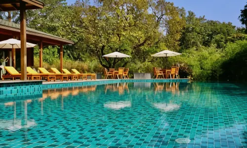 더 포스트카드 하이드어웨이 네트라발리 고아