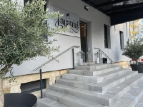 ホテル ファルケン ヘッヒンゲンのホテル