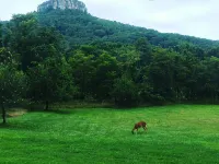 Isolate Stay at Pilot Mountain