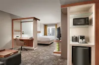拉斯維加斯會展中心SpringHill Suites套房飯店