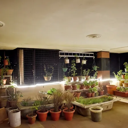 The Bodhi Tree Bnb
