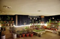 The Bodhi Tree Bnb