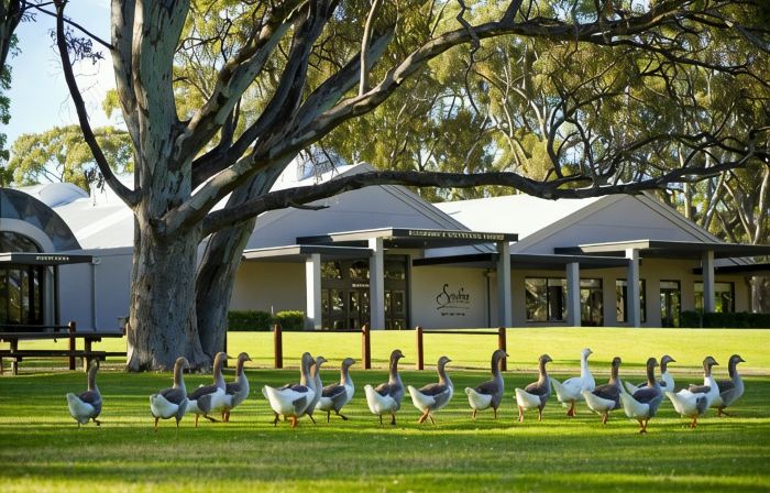 Serafino McLaren Vale