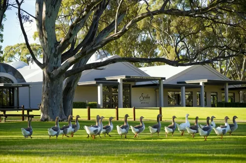 Serafino McLaren Vale - parking