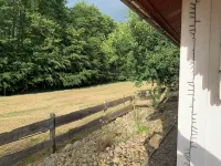 Charming vacation home in the middle of nature near Kühlungsborn