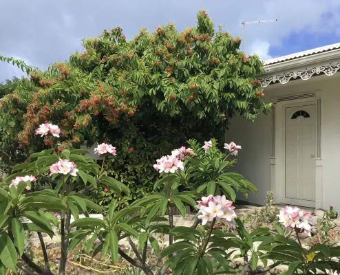 2 Bedroom Villa in Saint-FranÃ§ois - ヴィラ
