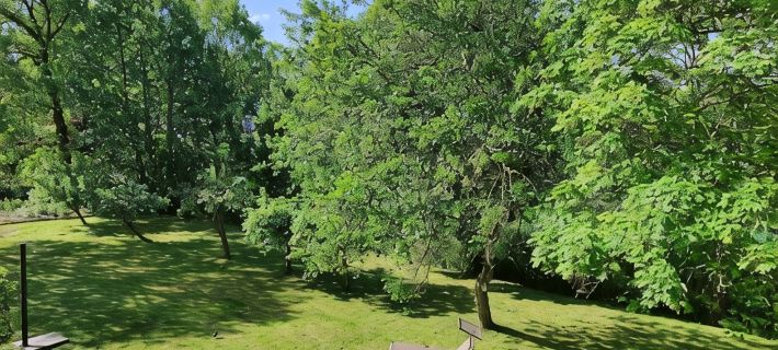 Haus im Seewind III, 70sqm - Country house with large garden, near Friesenstrand Hotels in Butjadingen