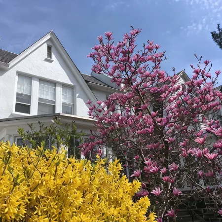 Artsy Homey Rowhouse, 3bdrm & office, quiet urban area, free parking, fast WiFi