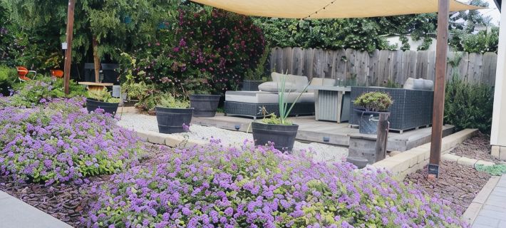 Casa Esperanza. Peaceful Get-away W/Hot Tub. Hotels in Salinas
