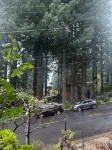 Humboldt Haven: Gorgeous Home for 13 w Gardens, Firepits, Forest & Bay Views