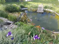 Traumhaftes und Entspanntes Wohnen am Gartenteich