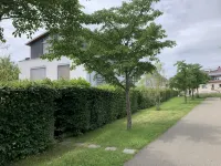 Beautiful Apartment with Parking Space