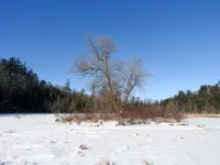 Ideal getaway for nature lovers!