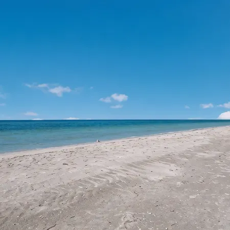 Beachfront Paradise on Lbk - Steps to Sugar Sand, Gulf Waves and Magical Sunsets
