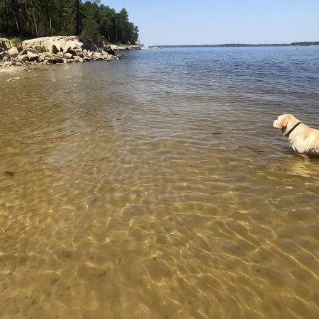 Lakeside Cottage, Water Access + Pet Friendly with Additional Fee