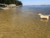 Lakeside Cottage, Water Access + Pet Friendly with Additional Fee