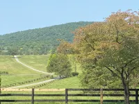 Beautifully renovated 1780 historic estate and horse farm