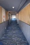 熱帶棕櫚酒店