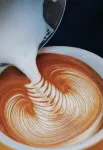 نوفو هوتل روسي