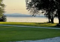 Charming Lakeside 2-bedroom cottage in lovely Alburgh, VT - Homestays