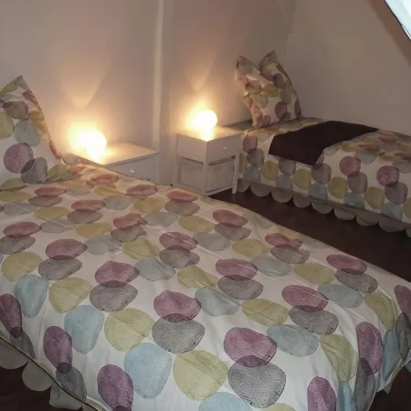 TOURIST RENTAL HISTORIC CENTER COLMAR
