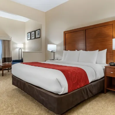 Comfort Suites Airport Hotels near North Shore Park