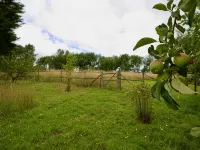 Tring Grange Cottage - Sleeps 2 - Onsite Parking Hotels in Tring