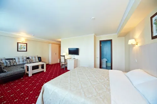 Bryansk Hotel
