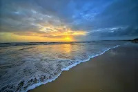 Planet Hollywood Beach Resort Goa - Beach