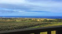 Maunga Roa Eco Lodge - Havudsigt