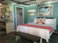 Beachfront large 2/2 on Spanish Wells' northside beach. Sun deck by the water. - Wi-Fi