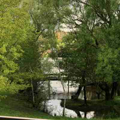Daylesford Lake Villa 1 ...lake frontage and pet friendly Others