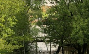 Daylesford Lake Villa 1 ...lake frontage and pet friendly