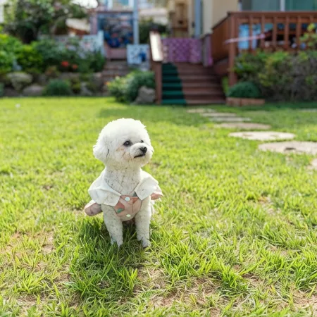 Ulsan Sea Picnic Pets Friendly Pension