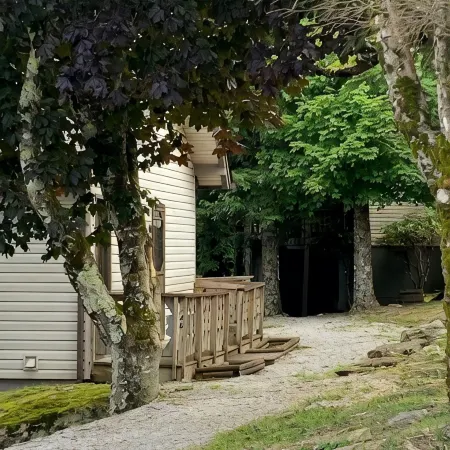 Beech Mountain Retreat - PET Friendly!
