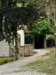 Beech Mountain Retreat - PET Friendly! - 3-Star