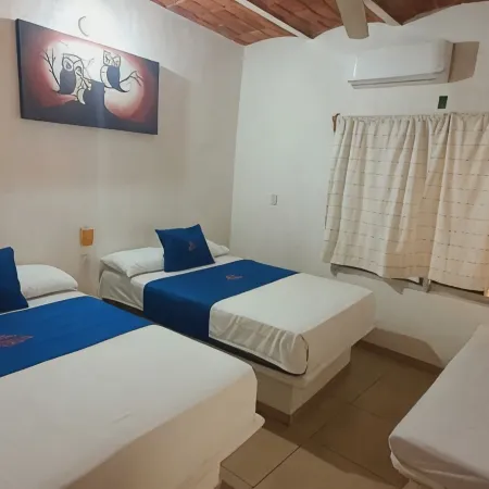 Tropical Suite