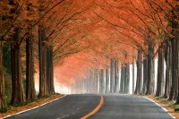 Damyang Daesupyeohaeng Pension - เพนชั่น