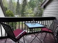 Cozy, relaxing condo overlooking Whiteface Club Resort near Jackrabbit trail. - Boutique