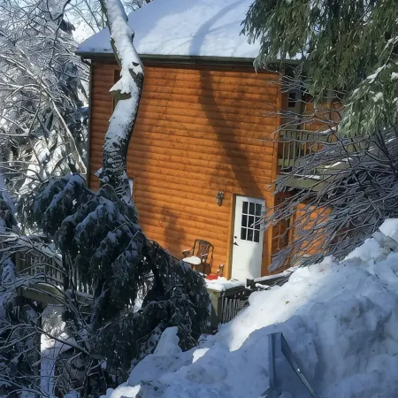 Peaceful Cozy Cabin Amongst the Trees with View of Lake Arrowhead