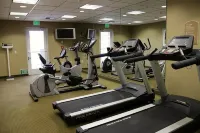 Holiday Inn Express & Suites TEHACHAPI HWY 58/MILL ST. by IHG - Gym