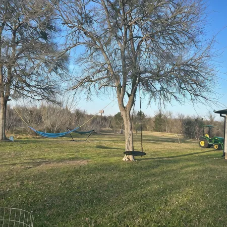 Relax & Recharge in Paige, TX - 15 Acres, Fishing, and Farm Animals Await