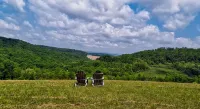 Cozy Cabin Among the Trees - Rustic Charm, Modern Comforts,  26 Secluded Acres - Hytter