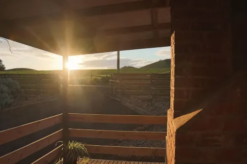 Black Rock Cottage - Gateway To The Great Ocean Road - 3 estrellas