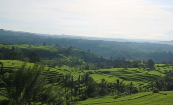 Sang Giri - Mountain Glamping Camp