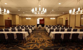 DoubleTree Suites by Hilton McAllen