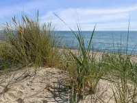 "Fredsine" - 1.2km from the Sea - 3-stjärniga