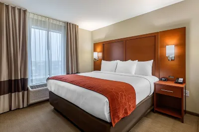 Comfort Suites Hotels in Bowling Green