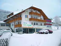 Hotel Elisabeth Hotels in Kiens