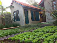 Tam Coc Eco House